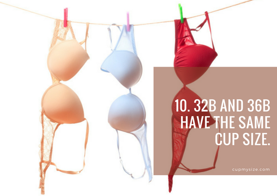 bra myths