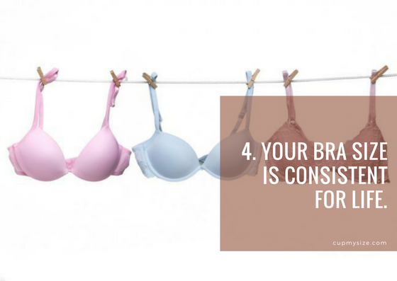 bra myths